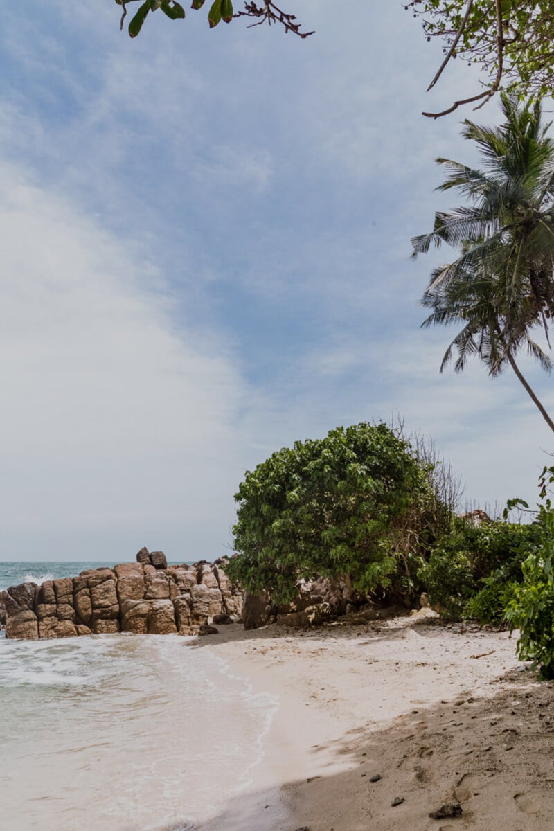 Discover the South Coast
