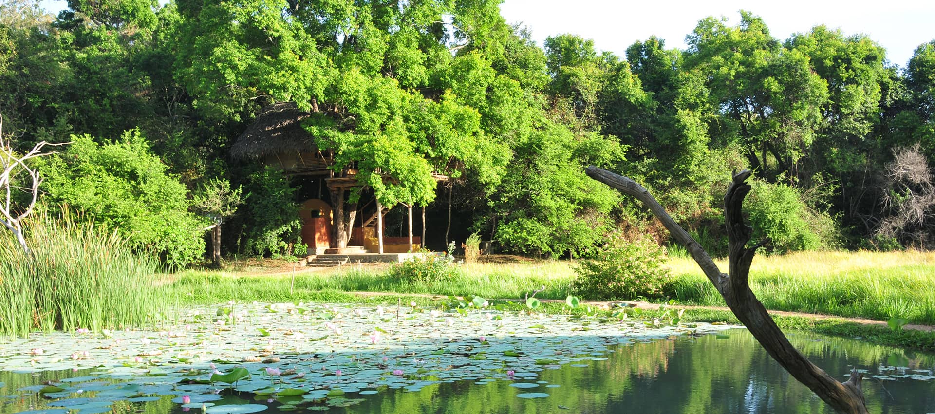 Back of Beyond Wild Haven