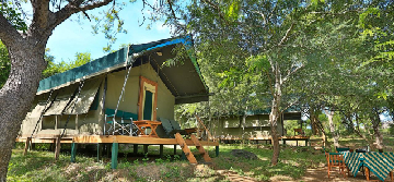 Kulu Safaris