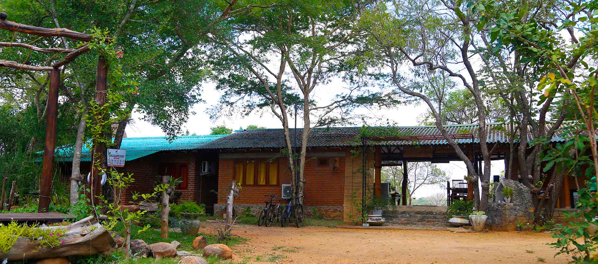 The Ibis, Wilpattu