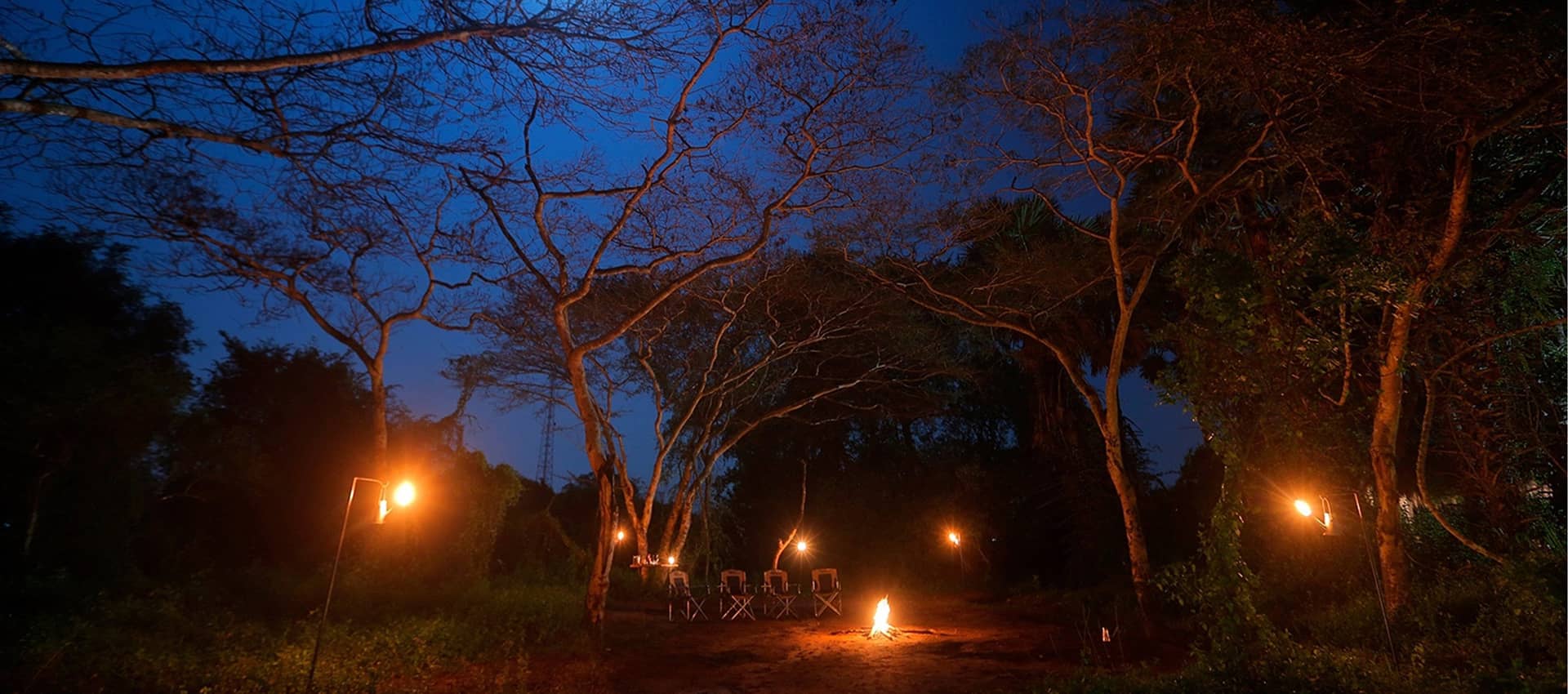 Wilpattu Safari Camp