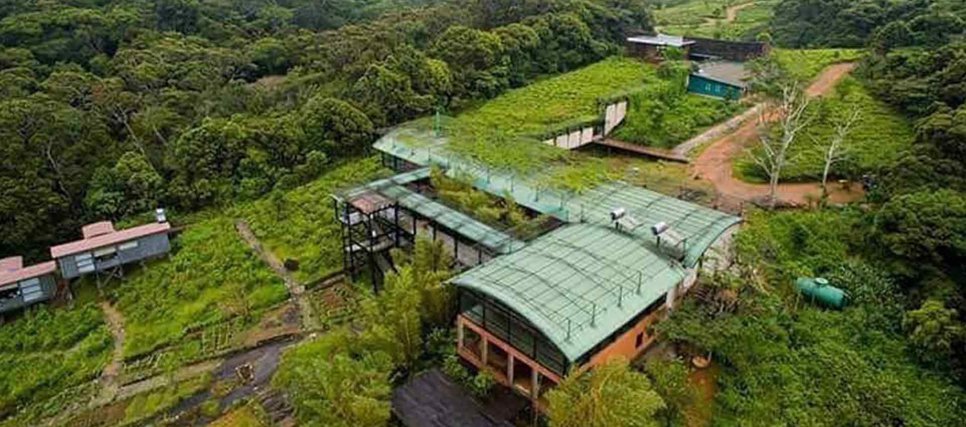 Rainforest Eco Lodge