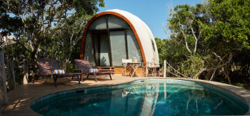 Wild Coast Tented Lodge