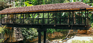 Bogoda Wooden Bridge