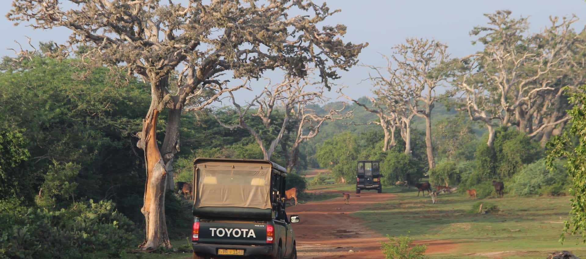 Bundala National Park