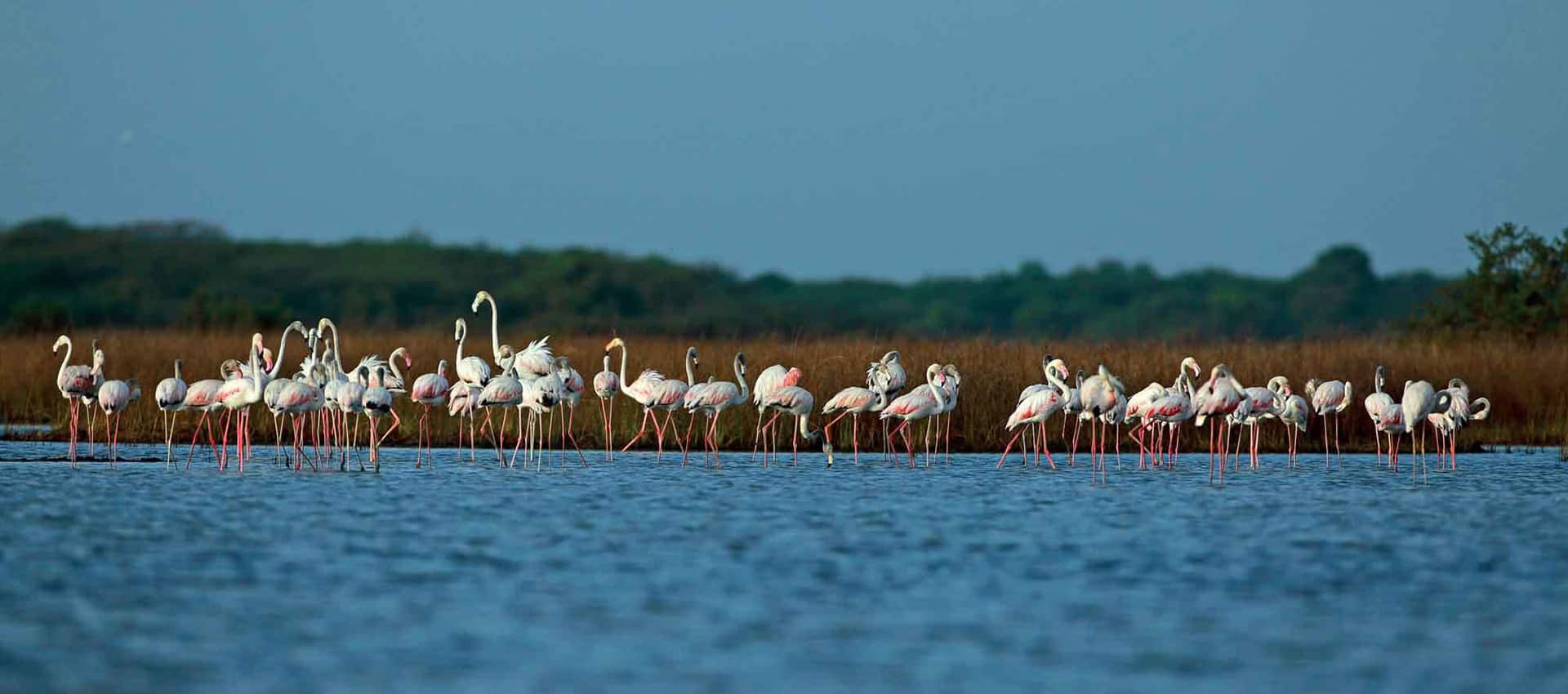 Chundikulam National Park