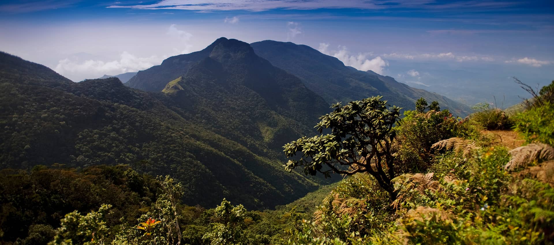 Horton Plains National Park