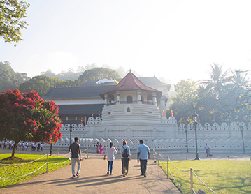 Kandy Temple and City Walk