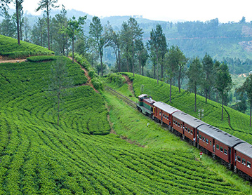 Kandy to the Hill Country by train