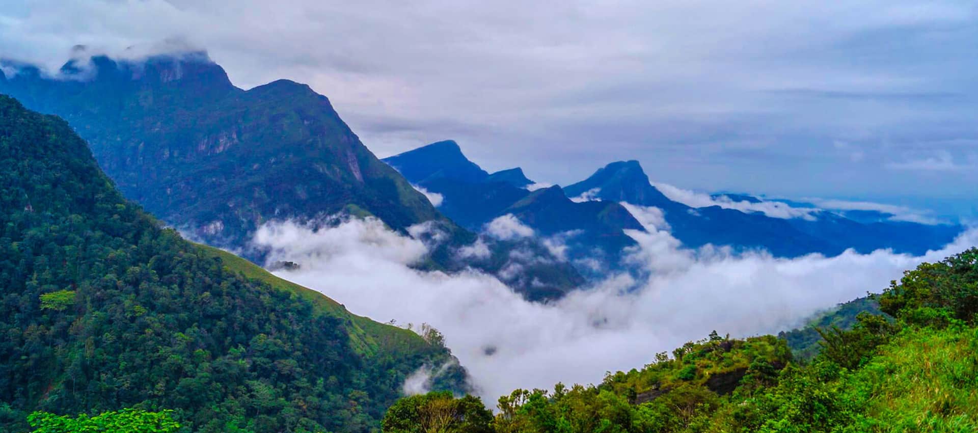 Knuckles Mountain Range