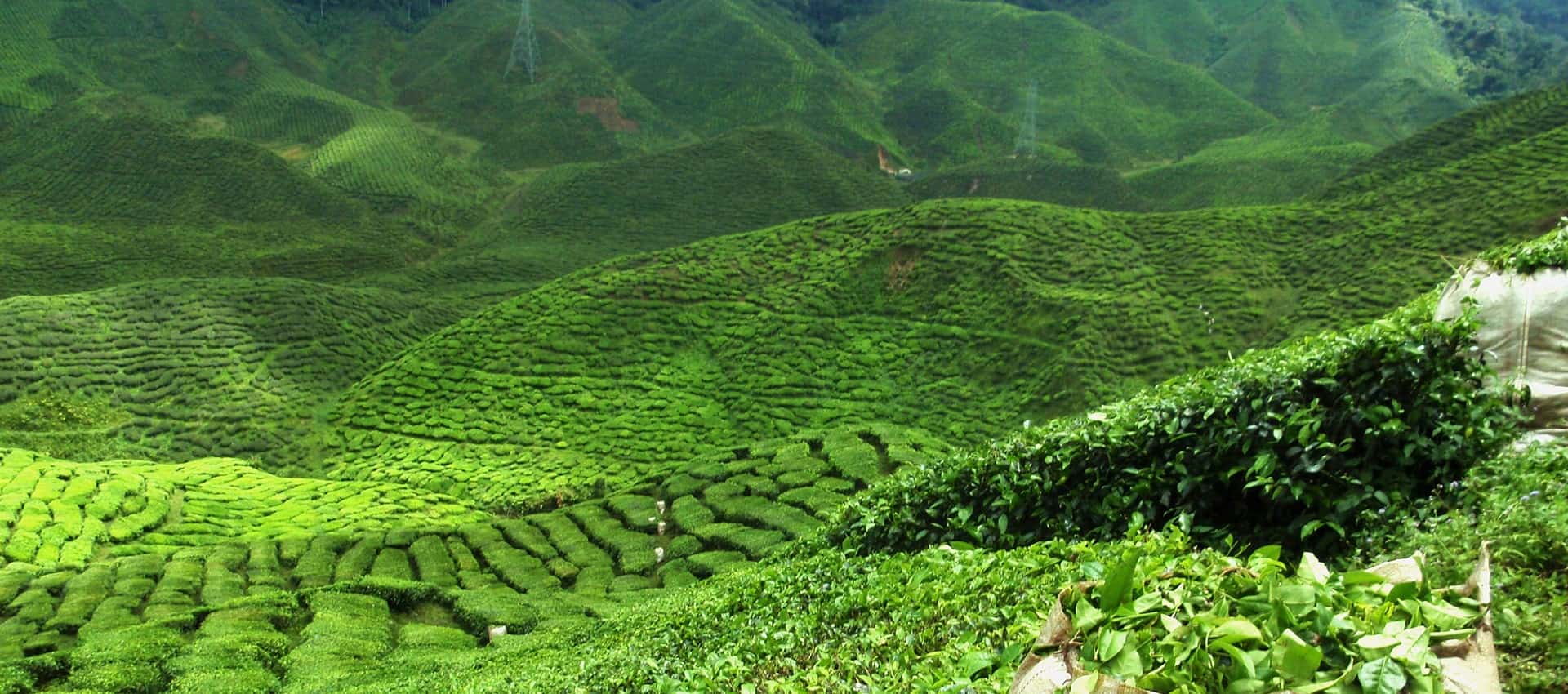 World's End, The Hill Country, Sri Lanka