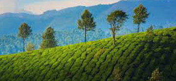 Kerala & Maldives Combo