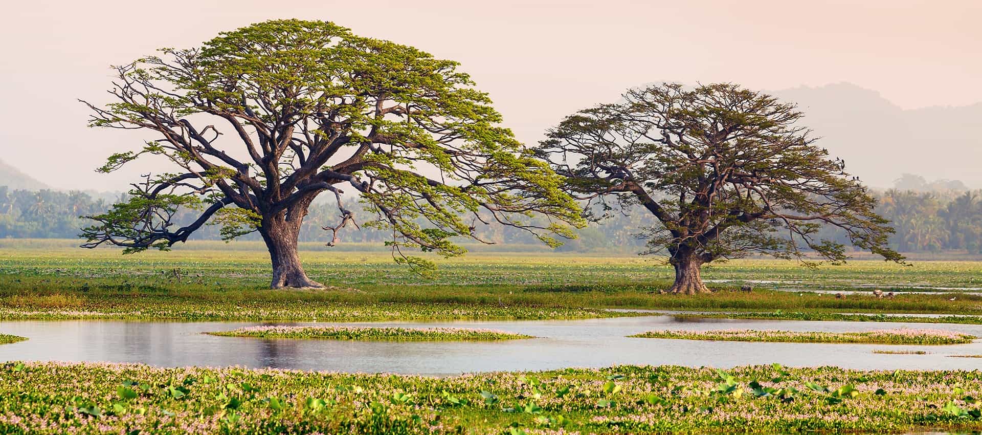 Tissa-and-kataragama