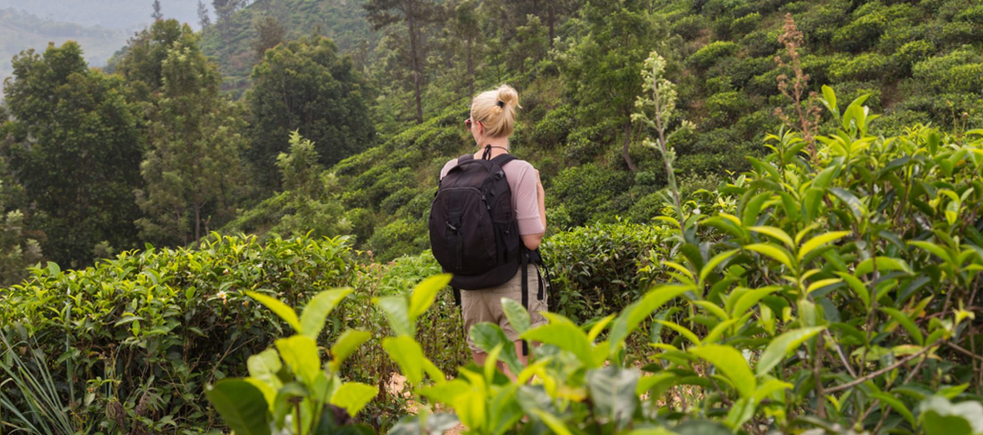 Weather in the Sri Lanka Hill Country