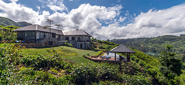 Camellia Hills Special Offer