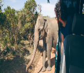 Sri Lanka Wildlife and Beach Retreat